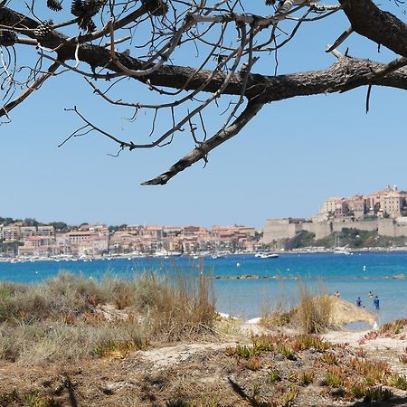 Residence Thalassa Calvi  Exterior photo