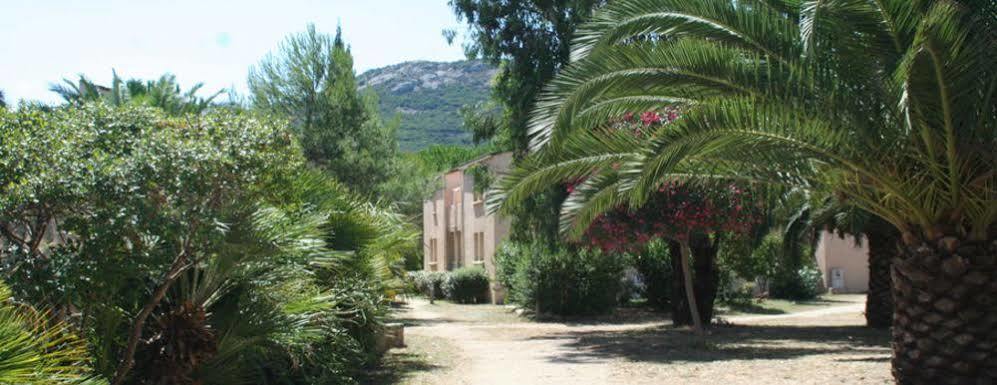 Residence Thalassa Calvi  Exterior photo